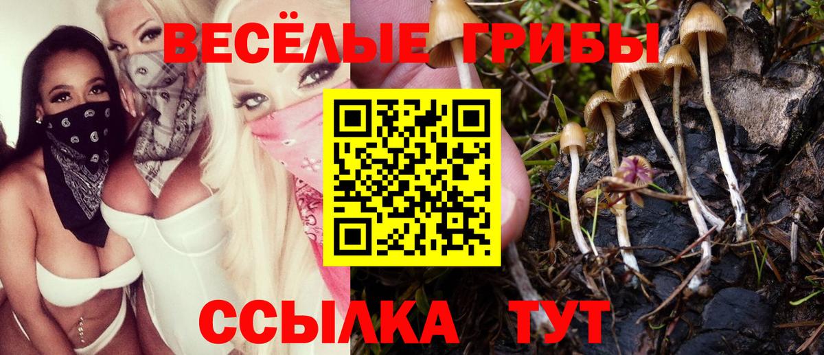 Берёзовский  Псилоцибиновые грибы Cubensis  сколько стоит  Псилоцибиновые грибы прущие грибы  Вход с VPN 