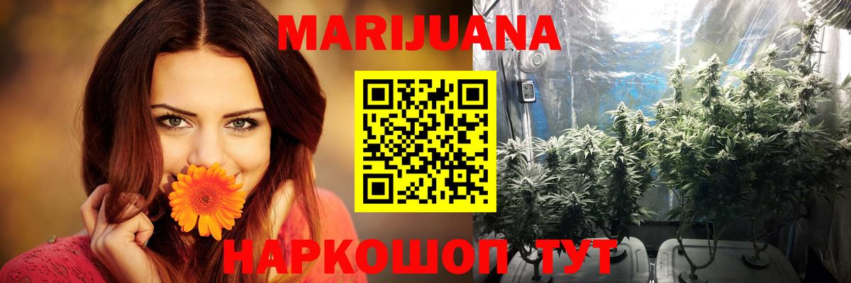 Берёзовский  Бошки Шишки ГИДРОПОН  Конопля план  МАРИХУАНА OG Kush  Бошки Шишки конопля  Вход с VPN 